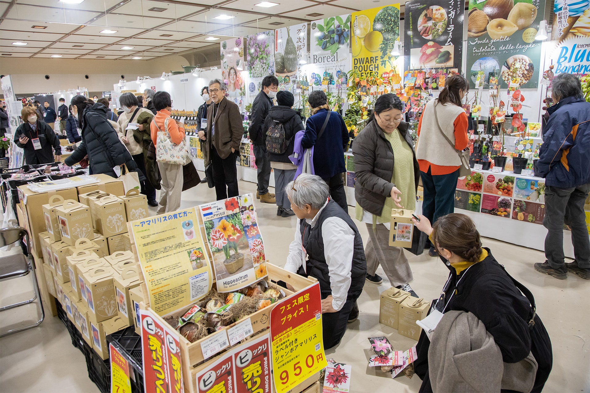 ブルームフェス2026 - フクカエン園芸見本市｜福花園種苗株式会社