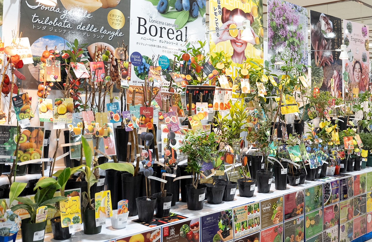 ブルームフェス2026 - フクカエン園芸見本市｜福花園種苗株式会社