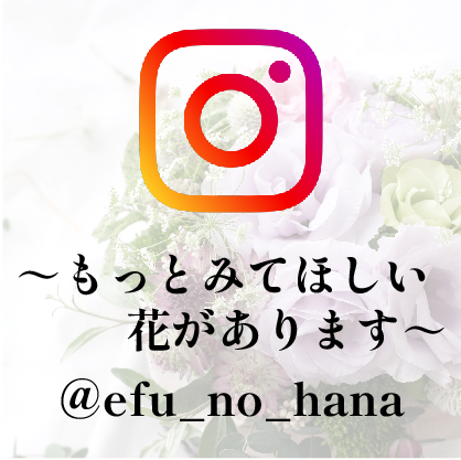＠efu_no_hana