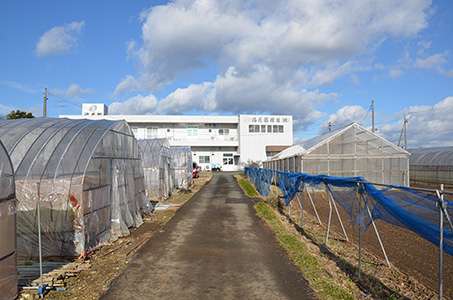美里農場