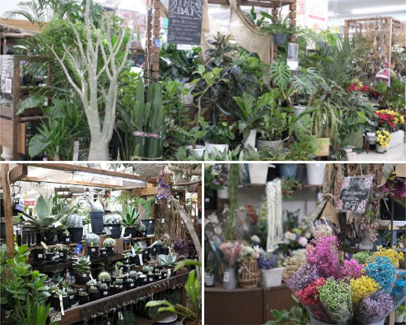 THE DAY 長久手店(ロイヤル福花園)
