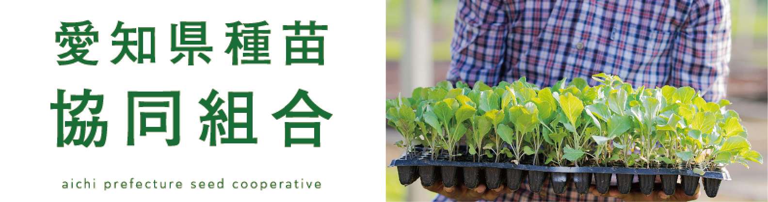 愛知県種苗協同組合