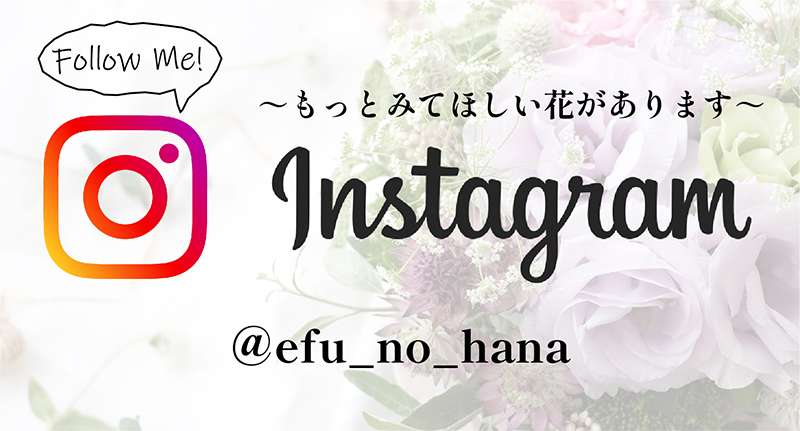 ＠efu_no_hana