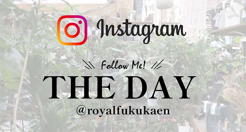 ＠royalfukukaen