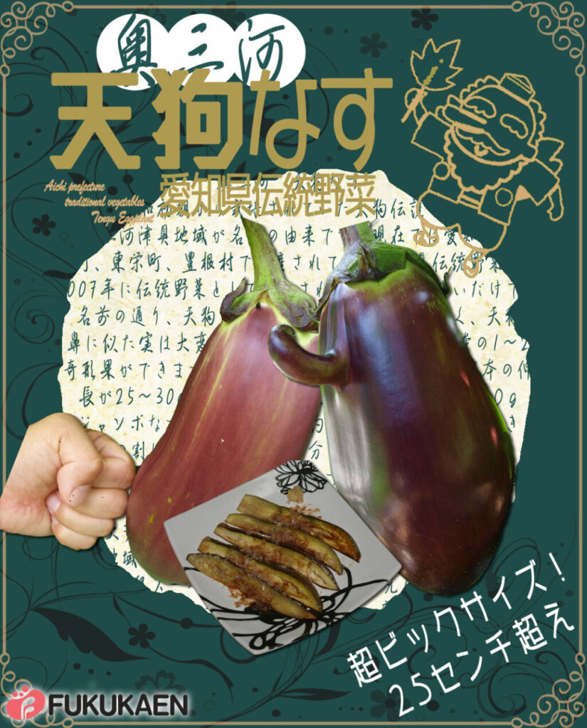 愛知県伝統野菜「天狗なす」10.5cm 40入 | 福花園種苗株式会社