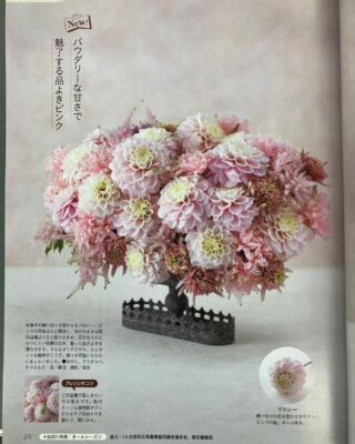 福花園種苗株式会社 - おかげ様で花と向き合って100年、福花園